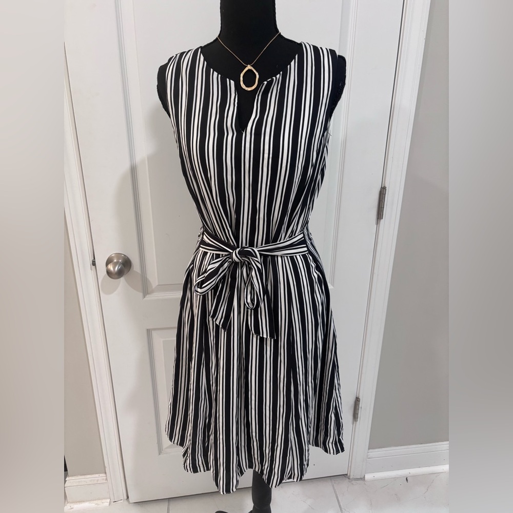 Banana Republic Black and White Striped Dress